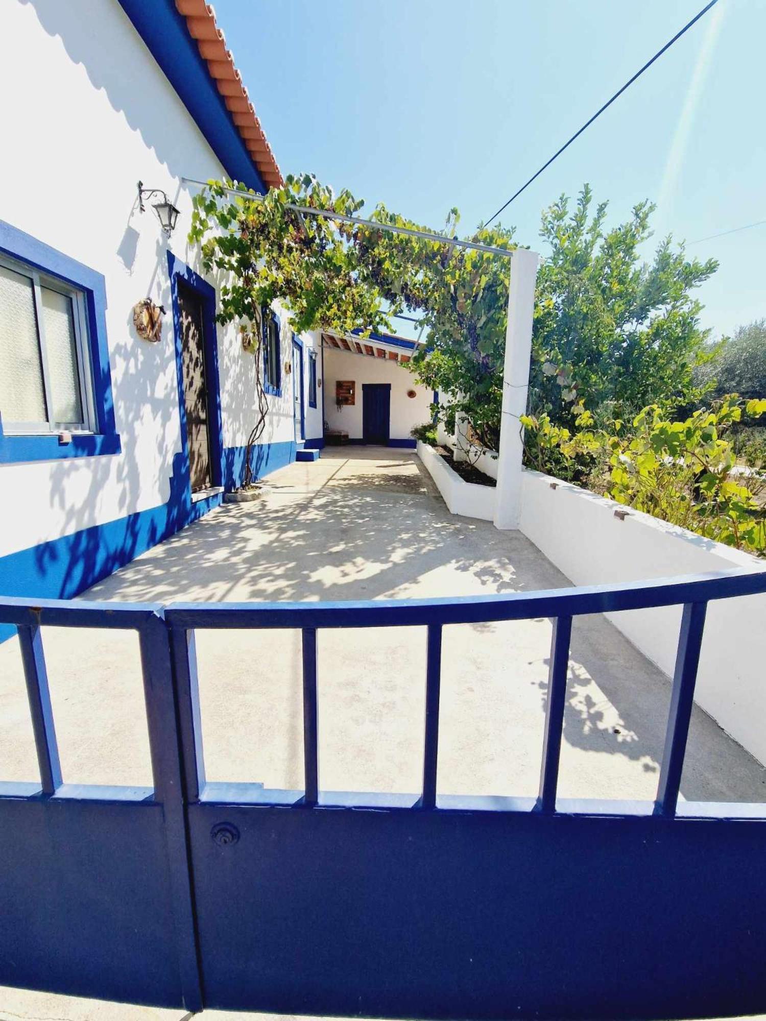Salgueira Casa Dos Martelitos别墅 外观 照片