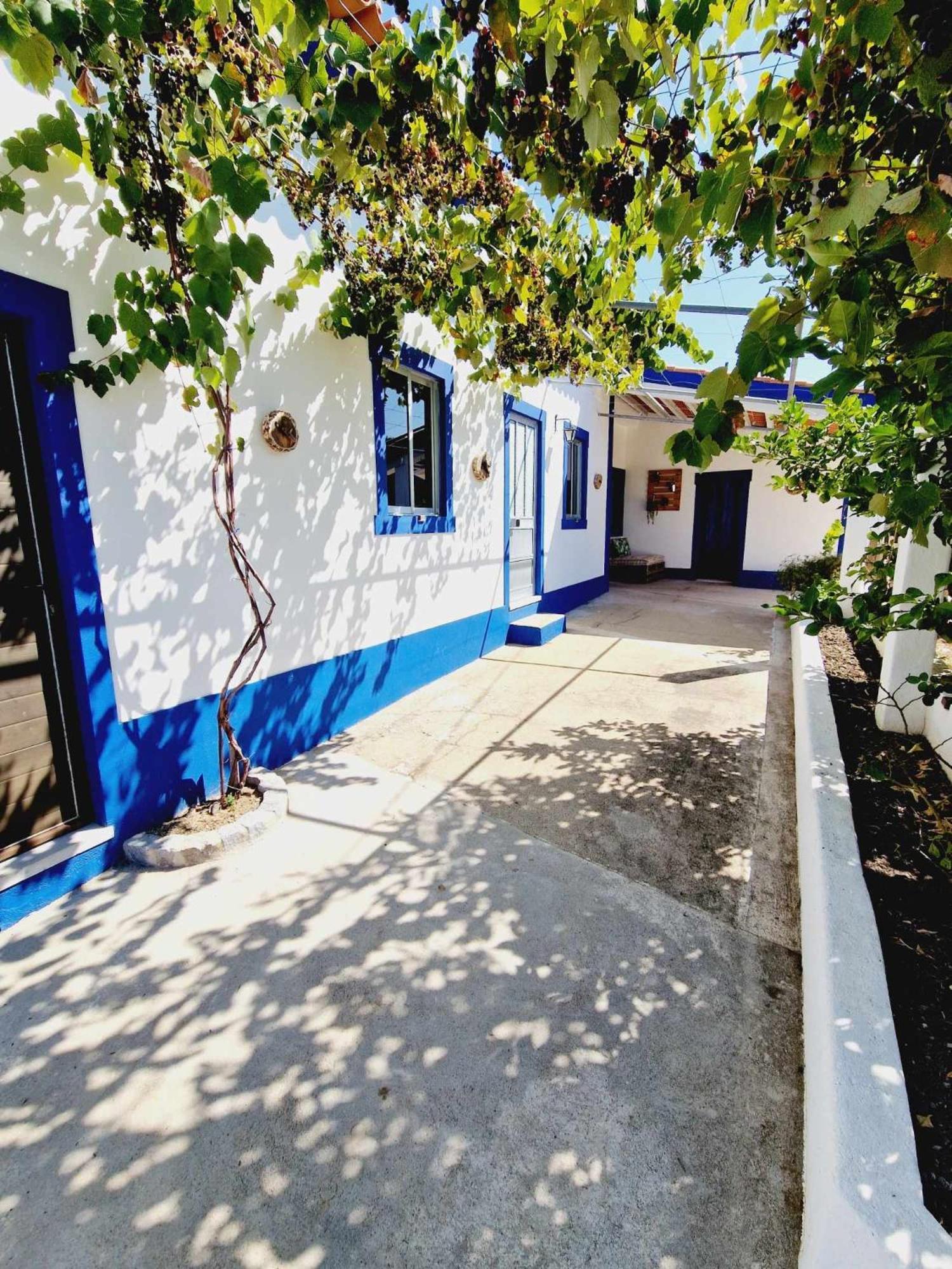 Salgueira Casa Dos Martelitos别墅 外观 照片