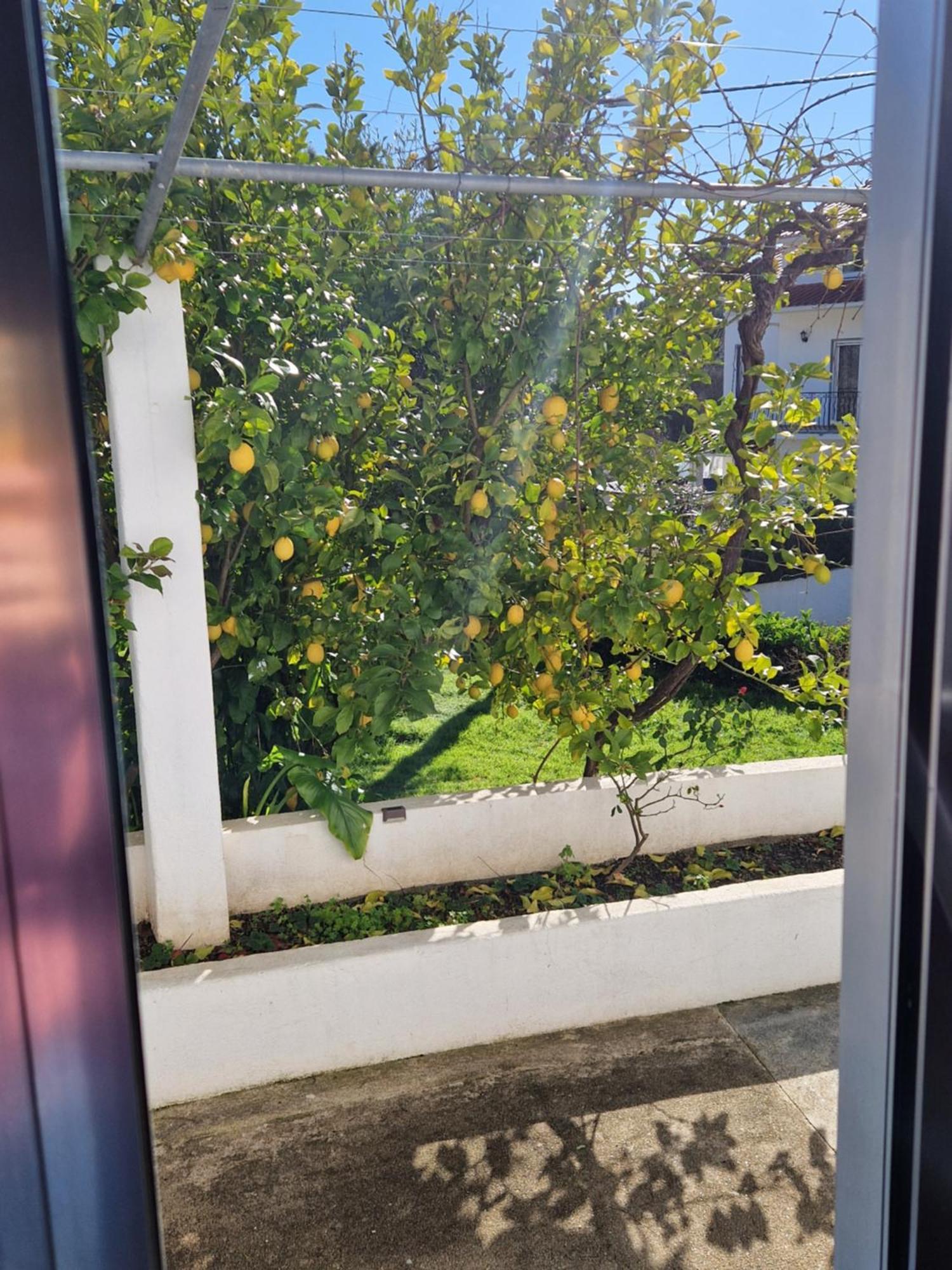 Salgueira Casa Dos Martelitos别墅 外观 照片